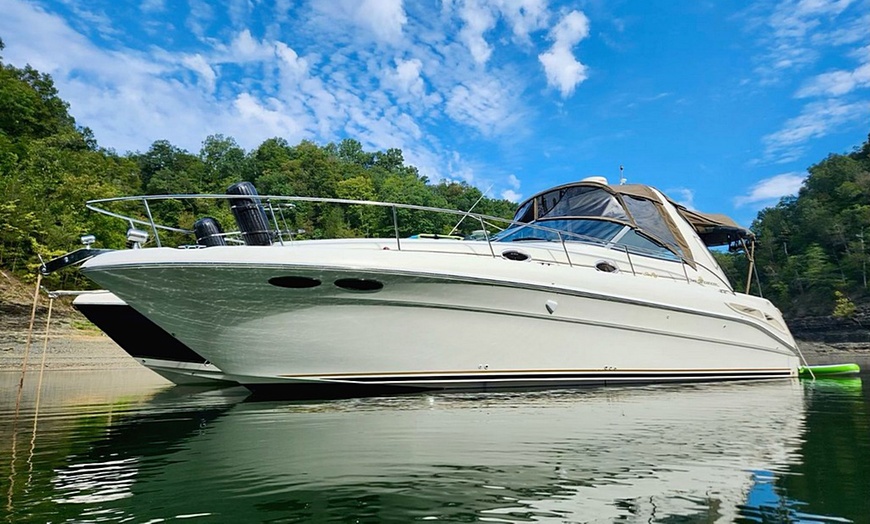 Image 5: Up to 91% Off on Powerboat Rental at Penielus LLC