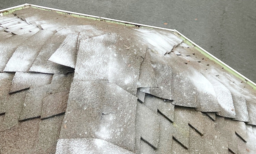 Image 2: Roof Moss or Roof Blow Off, Gutter Cleaning/Organic Moss Treatment