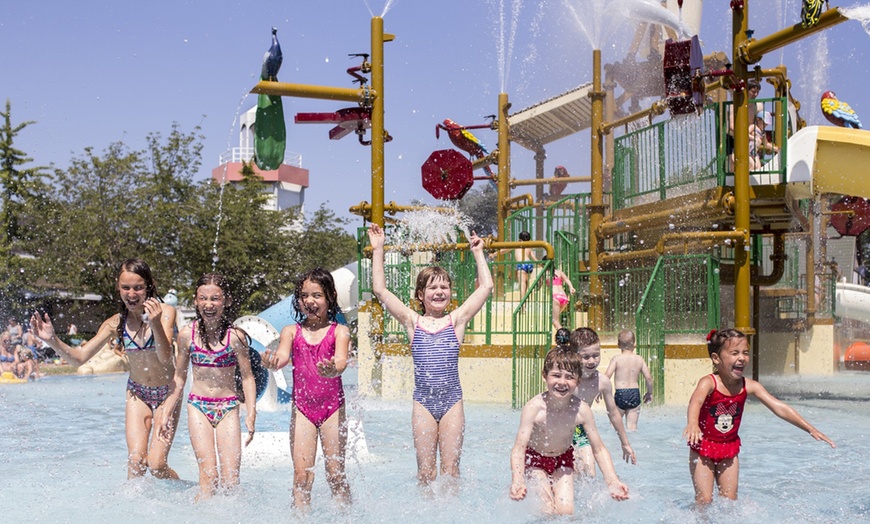 Image 1: Une journée magique au delphinarium de Boudewijn Seapark