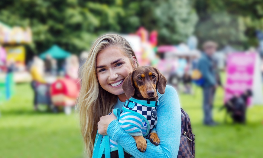 Image 13: DogFest 2025 | Your Favorite Dog-Friendly Festival 