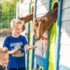 Image 3: Up to 39% Off Admission to BunnyPalooza at Yesterland Farms