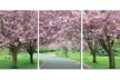 Photography Print Gallery-Wrapped Canvas Triptych  - Second Medium