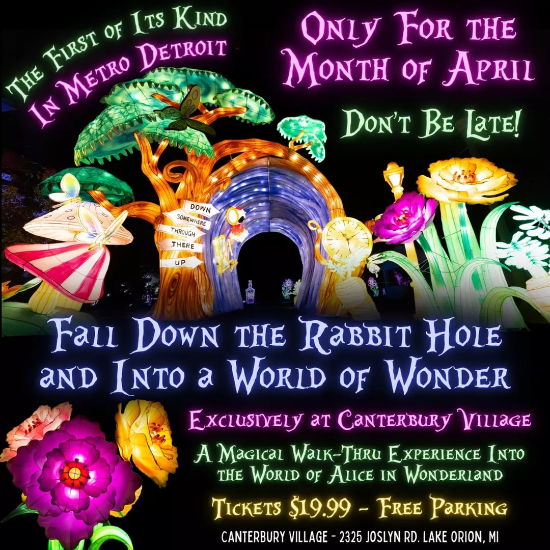 Discover the Magic of the Wonderland Lantern Stroll