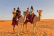 Abu Dhabi Desert Safari+Central/Home/Hotel Pickup–Dinner & Live Shows for Child or Up to 4 Adults (Upto 72% Off) - Image 2