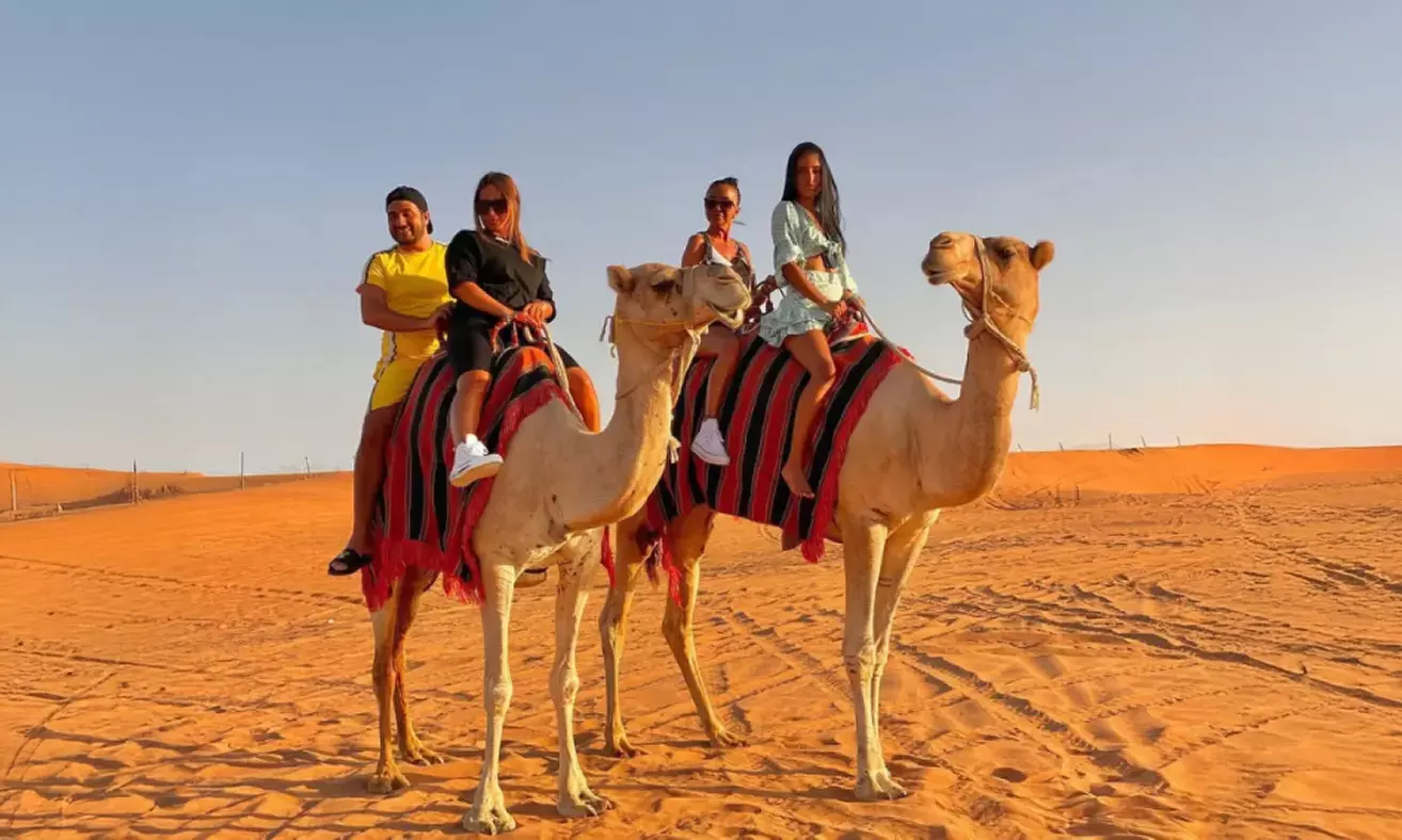 Abu Dhabi Desert Safari+ Central/Home/Hotel Pickup–Dinner & Live Shows