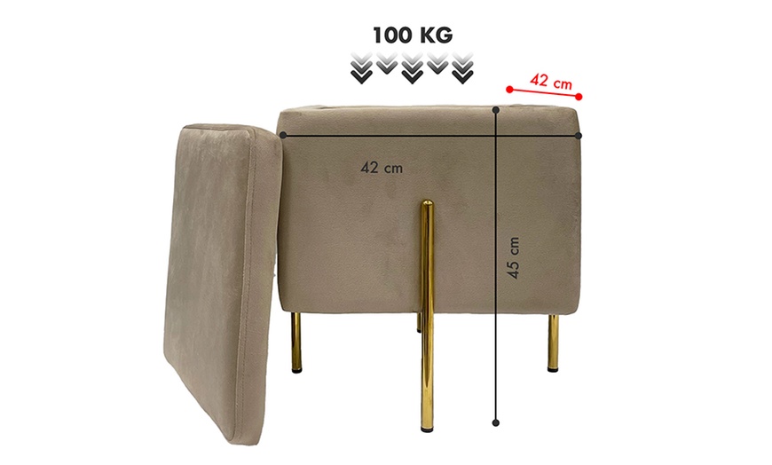 Image 14: Pouf contenitore in velluto