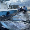 Image 3: Deep Sea Fishing Trip on a Sport Yacht – San Diego Coast