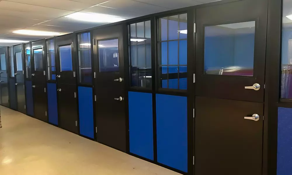 One, Two or Five Night Deluxe Suite with Play for 1 or 2 Dogs and More