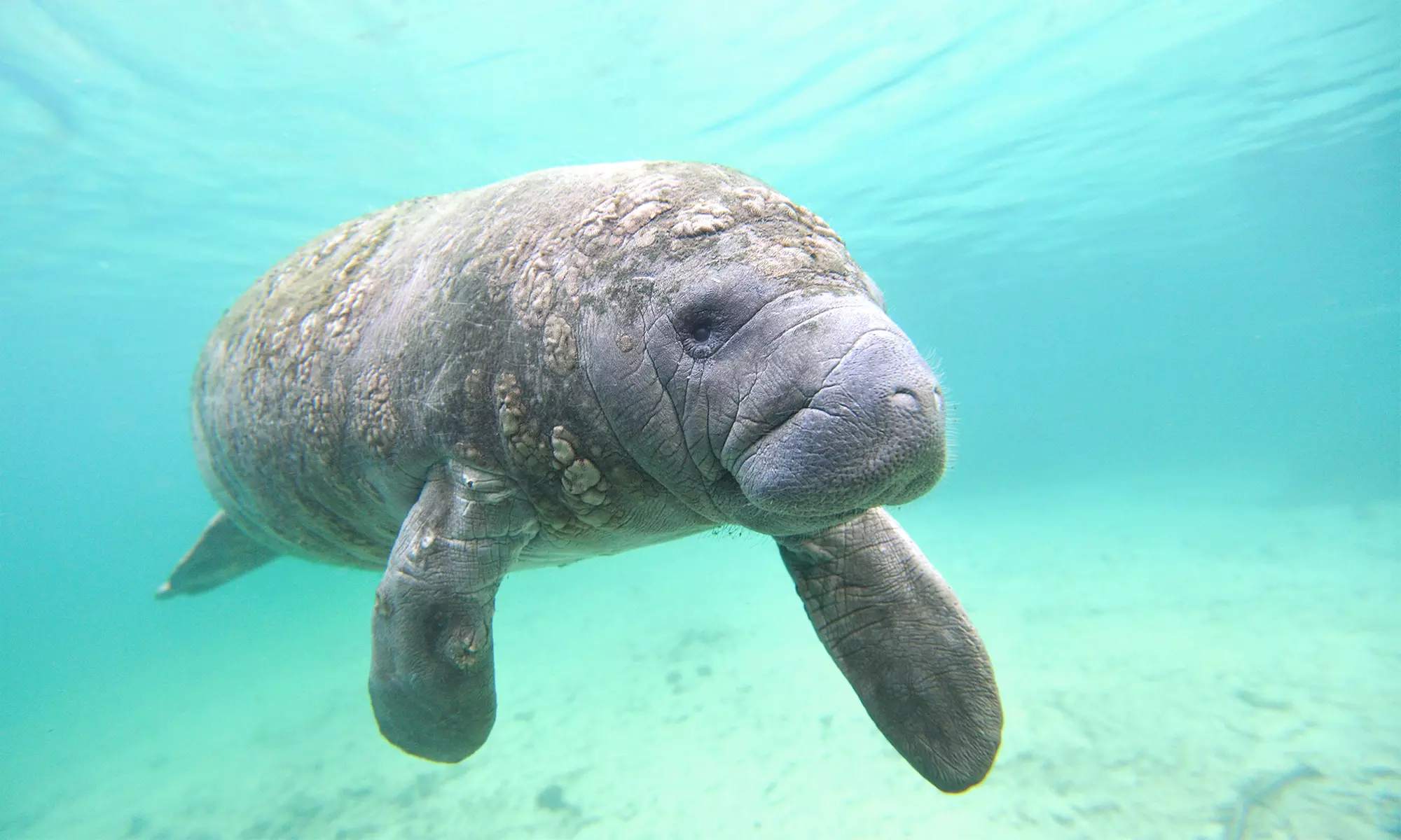 All-Inclusive Resort with Private Marine Sanctuary Near Mayan Ruins