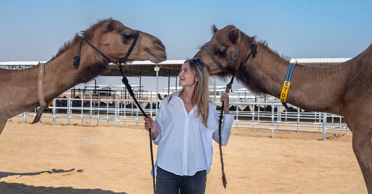 Camelicious Farm And Factory Tour With Camel Milk Tasting Camelicious Farm And Factory Tour With Camel Milk Tasting