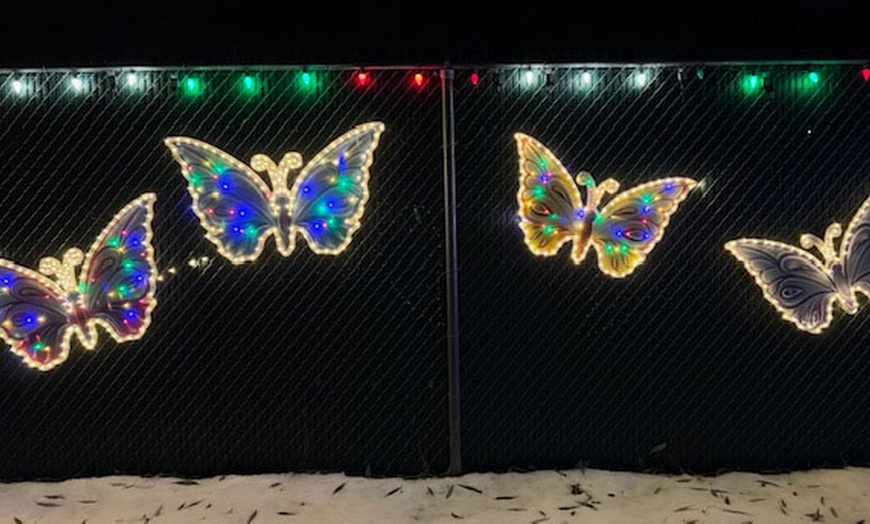 Image 6: Zoo Lights Holiday Wonderland at Zootah