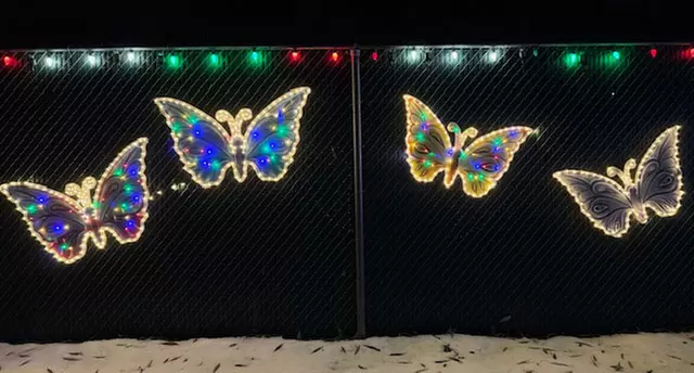 Zoo Lights Holiday Wonderland at Zootah