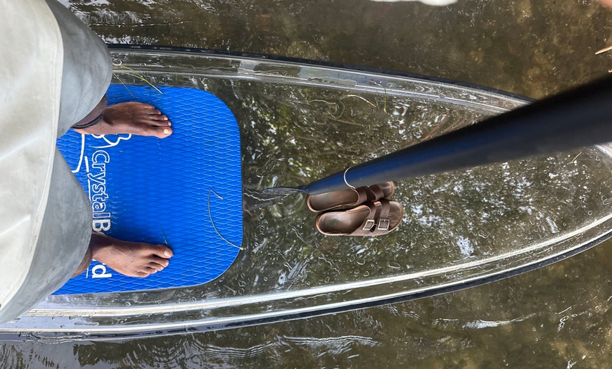 Image 4: 2 Hour Crystal Clear Transparent Kayak or Paddleboard Tour! 