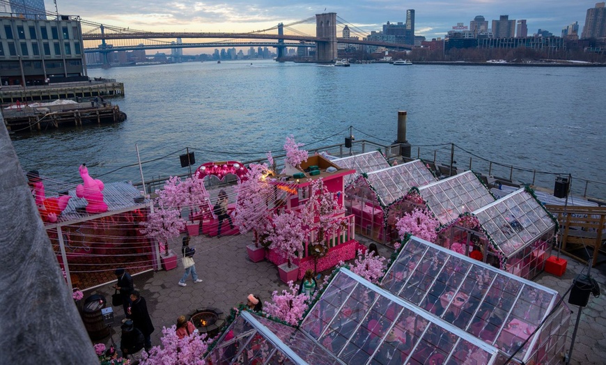 Image 5: VIP General Admission with Flex Pass Ticket to Pink Pier