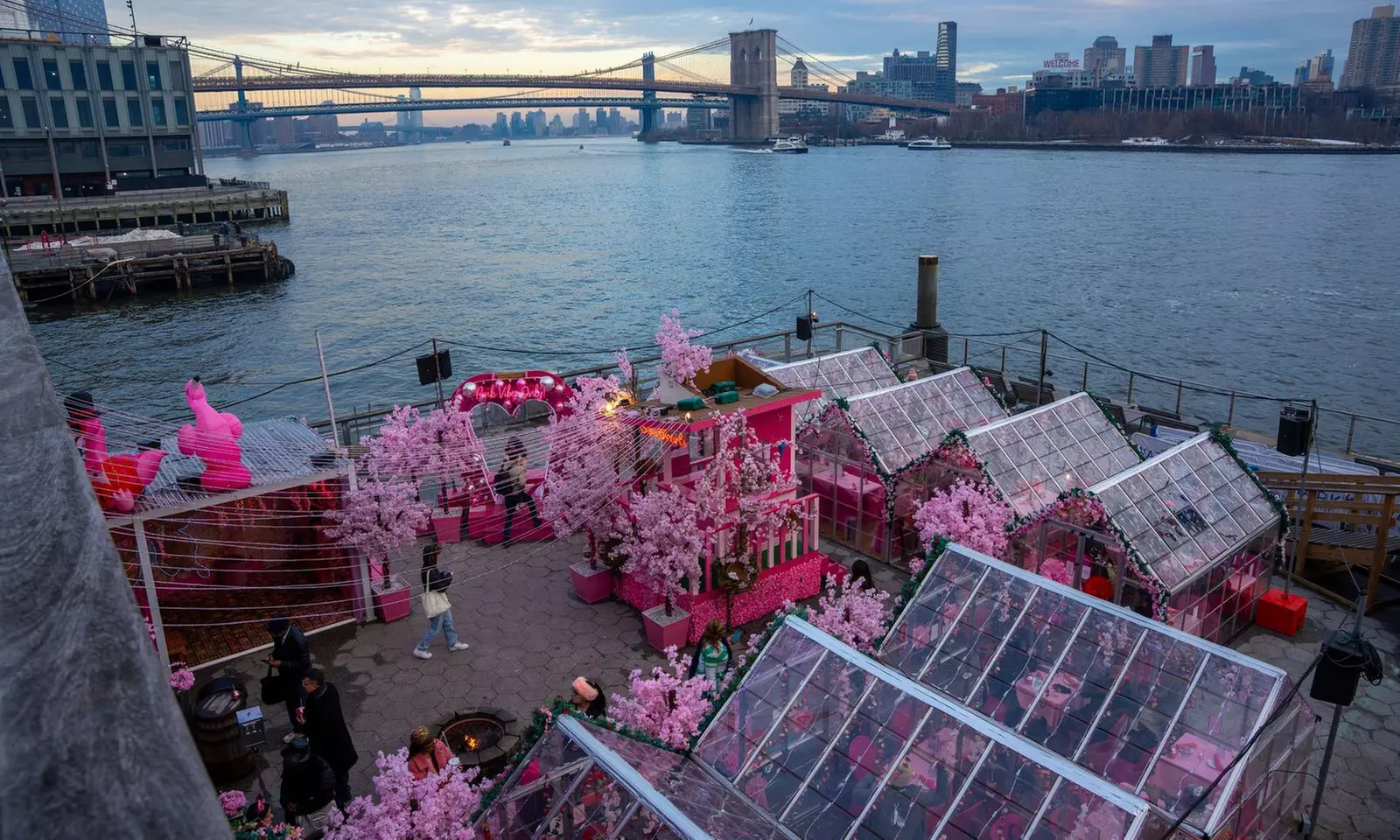 VIP General Admission with Flex Pass Ticket to Pink Pier