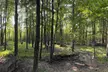 Experience Exhilarating All-Day Paintball Fun at Pinnacle Adventure Park - Second Medium