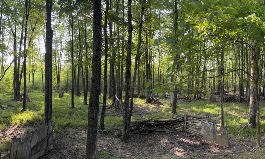 Image 3: Paintball Adventure at Pinnacle Adventure Park