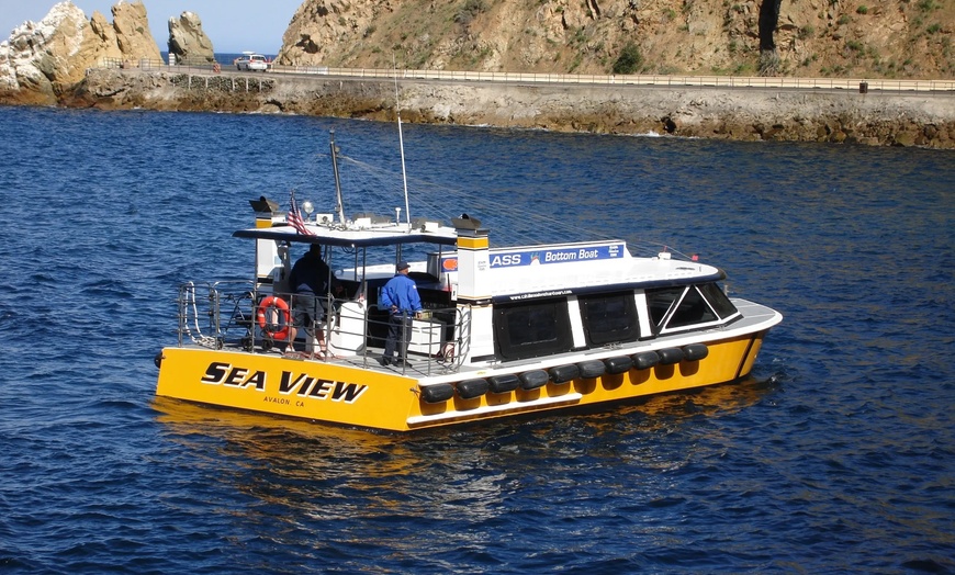Image 2: Glass Bottom Boat Tour: Explore Catalina's Underwater World