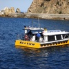 Image 2: Glass Bottom Boat Tour: Explore Catalina's Underwater World