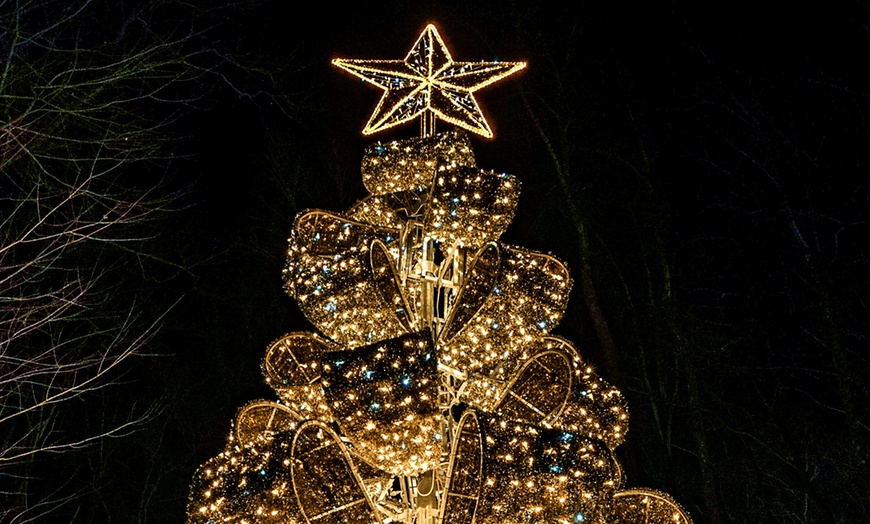 Image 7: Dazzling Winter City Lights Holiday Experience & Snow-Tubing