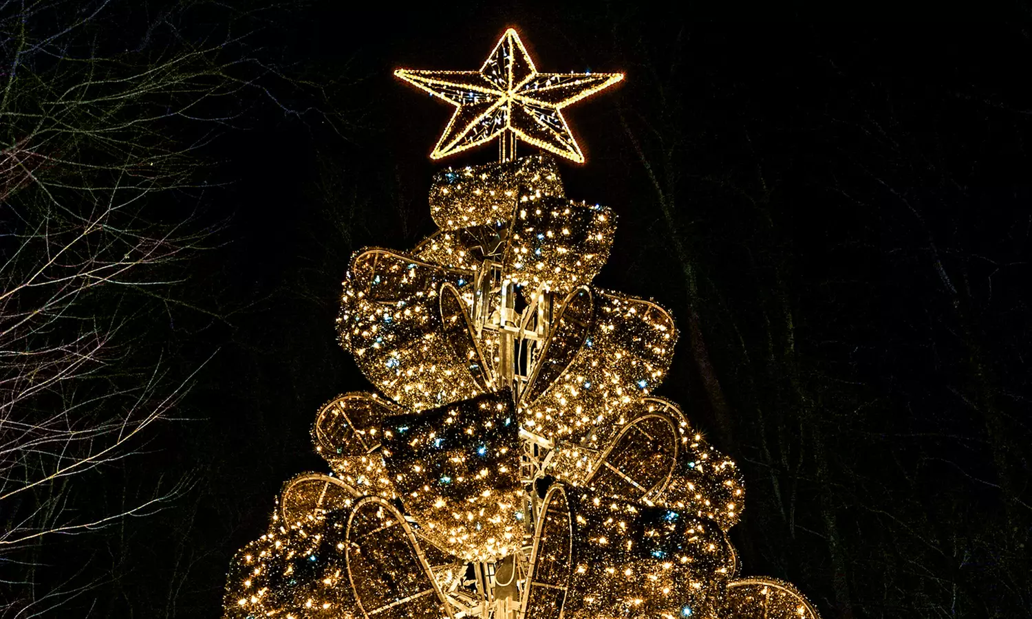 Dazzling Winter City Lights Holiday Experience & Snow-Tubing