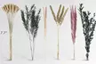 Natural Dried Flowers Pampas Grass Bunny Tails Bouquet Boho Wedding Table Decor - Second Medium