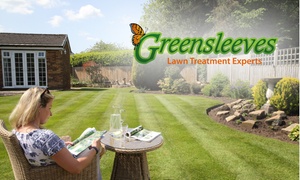 Lawn Treatment with Weed Control