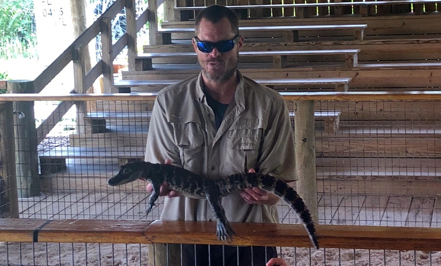 Image 7: Miami Highlights Exploring Tour or Everglades National Park For 1 or 2