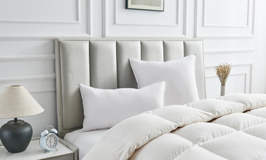 Image 1: Oreiller Happy 100% microfibre, Sampur