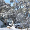 Image 8: Mt Buller: Alpine or Mezzanine Room with Continental Breakfast