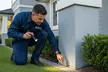 $149 for Residential Termite Inspection from Cheap Pest Control Brisbane (Up to $280 Value) - Image 2