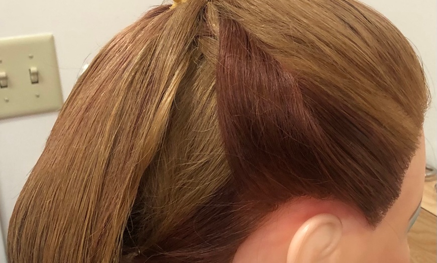 Image 5: Stunning Hair Transformation! Highlights, Color & Precision Cuts