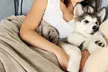 Waterproof Pet Blanket XL Throw Protects Couch Car Bed 70 x 60 Tan - Second Medium