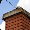 Image 2: Professional Chimney Services: Cleaning, Inspection, & Safety Checks