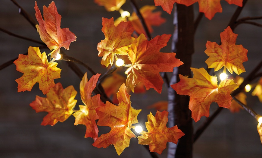 Image 3: 48 LED Pre-Lit Maple Tree