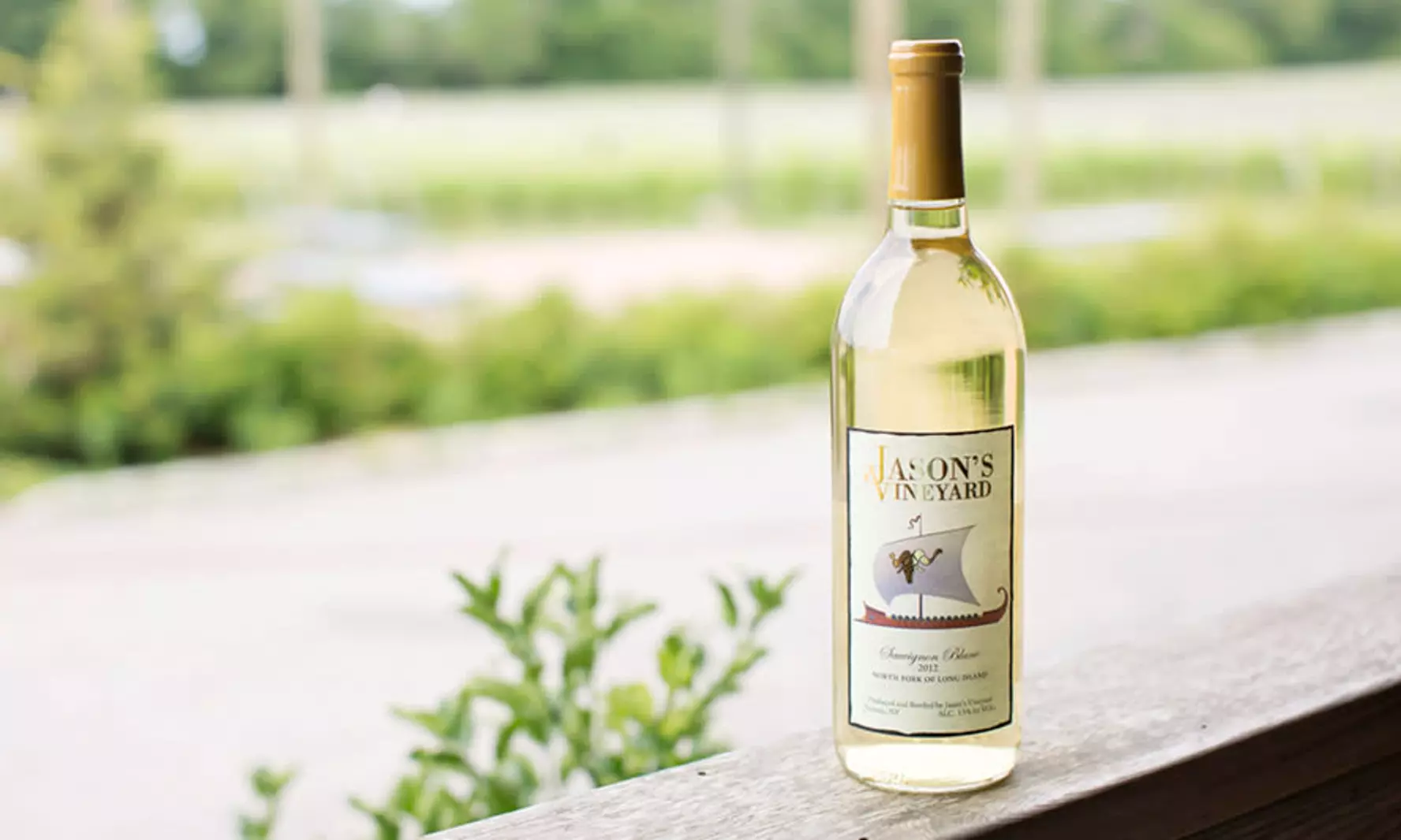 VIP Wine Tasting Experience w/ Cheese & Crackers, 2 or 4 Glass & More