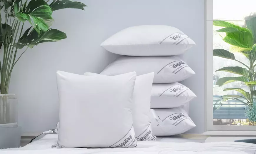 Image 1: Goose Feather and Down Cushion Inners 45cm x 45cm