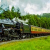 Image 1: North Yorkshire Moors Railway Day Rover Tickets: Up to 51% Off