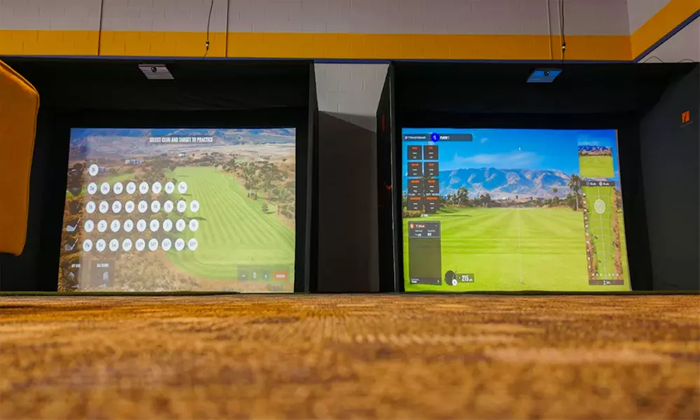 Unlimited All-Day Play: Pickleball, Badminton, Ping Pong, VR & More