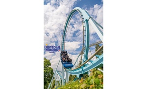 Day Ticket to Drayton Manor Resort with Burger Meal & Chips 