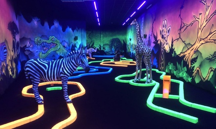 Accès mini-golf de 60 minutes pour 2 personnes - Goolfy Anse