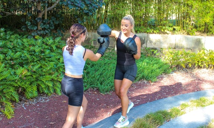 One: 75-Min Psychotherapy and Martial Arts Training Package - On Point mind and movement