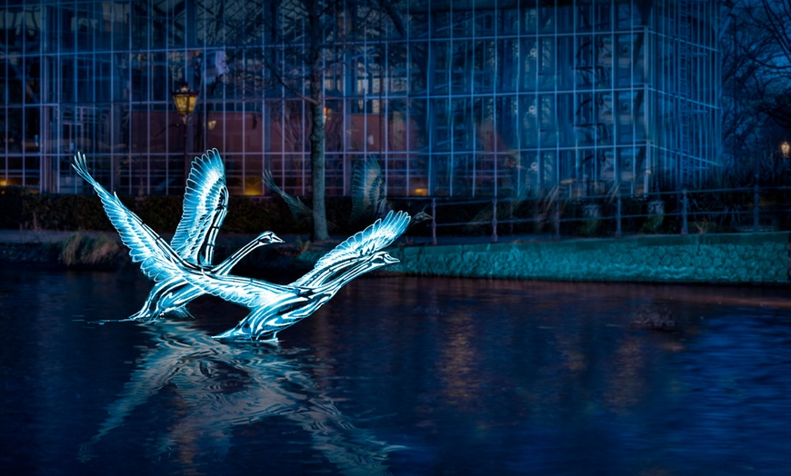 Image 6: Amsterdam Light Festival vanaf het water in een elektrische salonboot