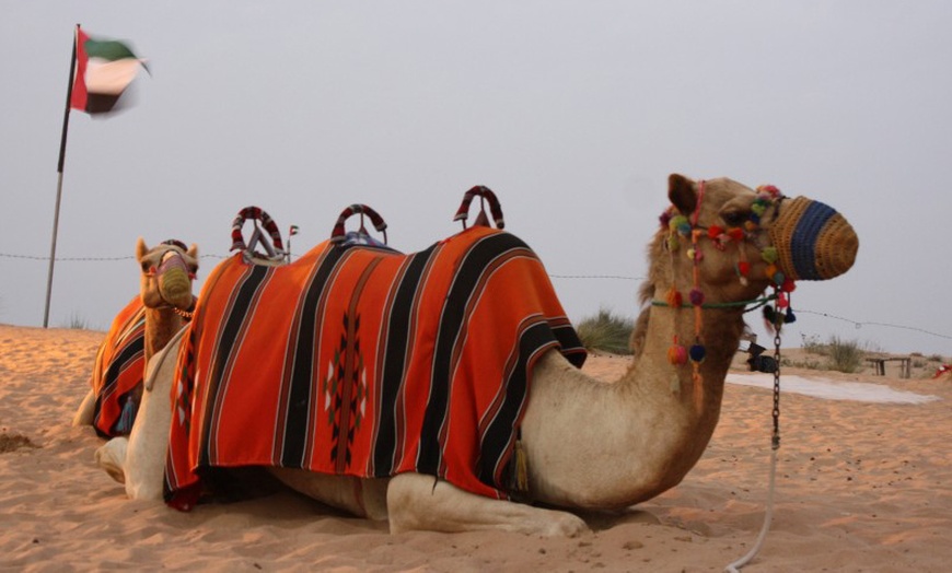 Image 4: Enjoy a VIP Desert Safari Including Dune Bashing and Camel Ride!