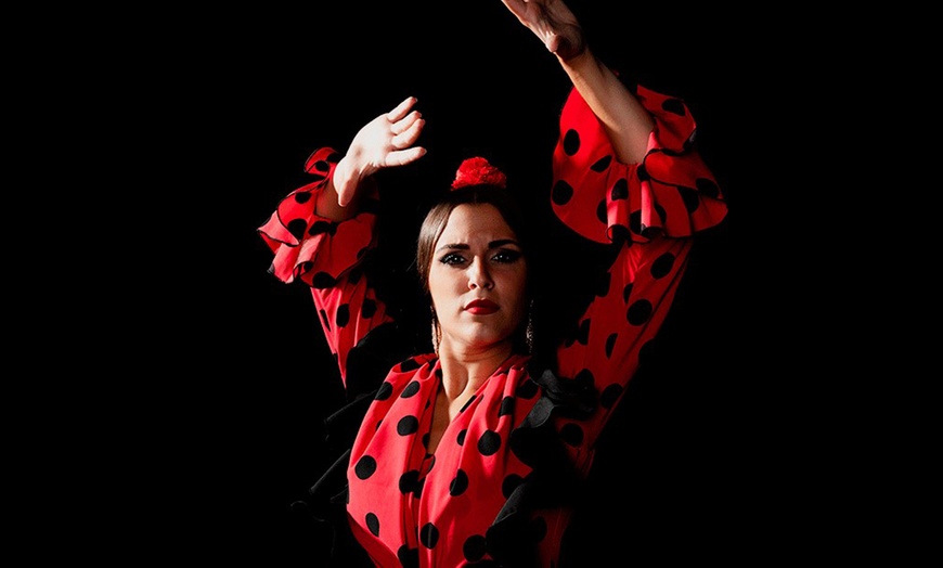Image 2: Entradas a espectáculo flamenco con cócteles de bienvenida para 2 o 4 