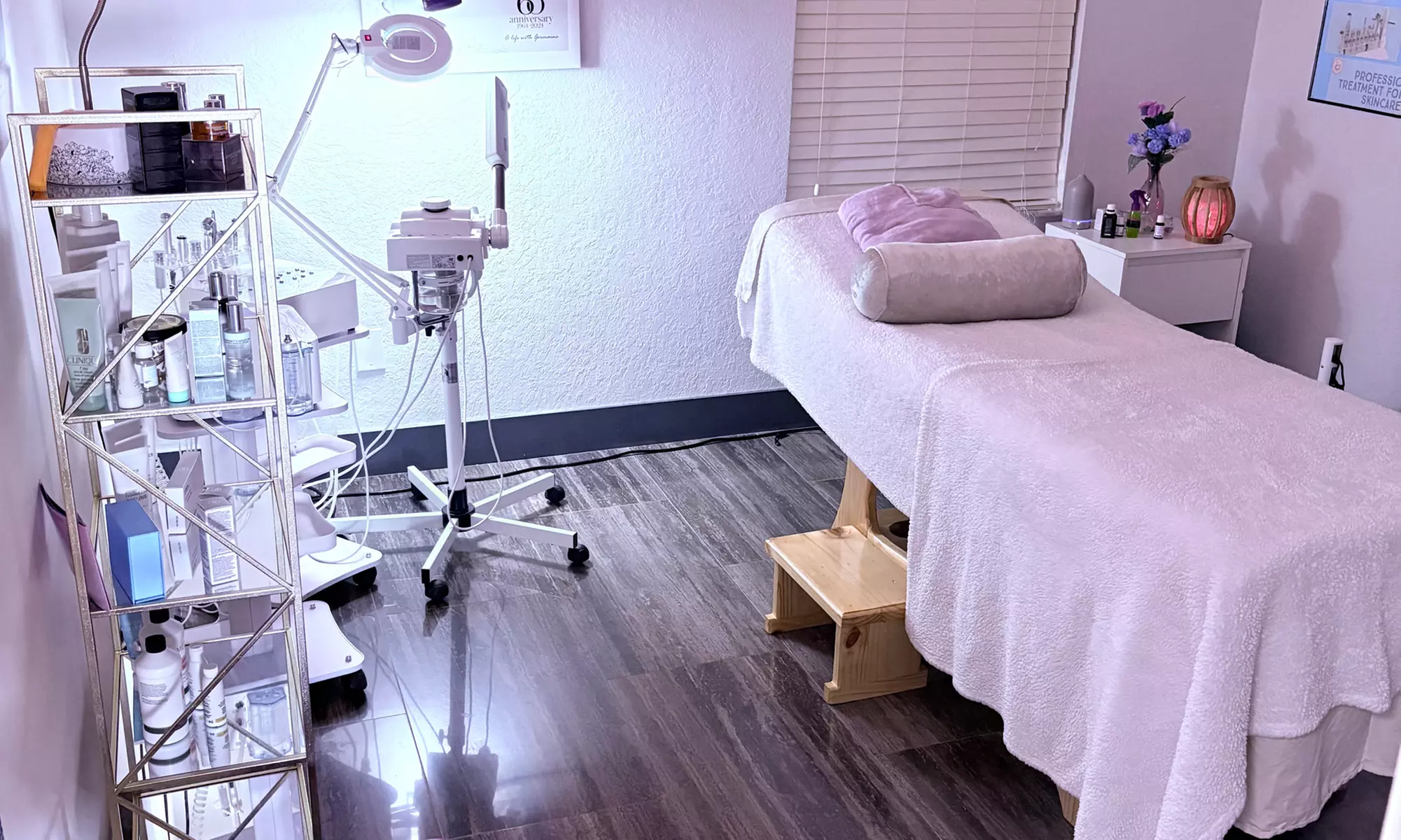 One 60- or 90-Min Swedish, Deep Tissue or Lymphatic Drainage Massage