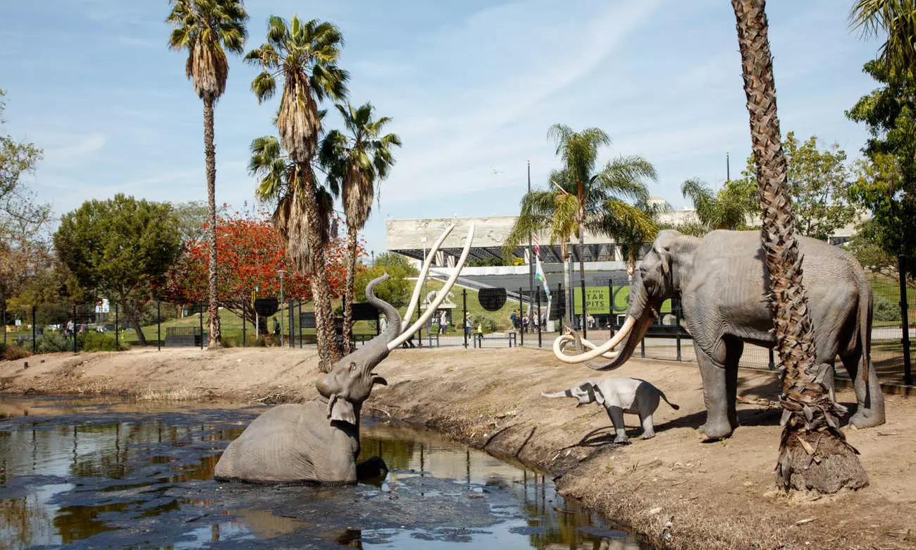 Book Now: Admission for One to La Brea Tar Pits and Museum - Primary Image