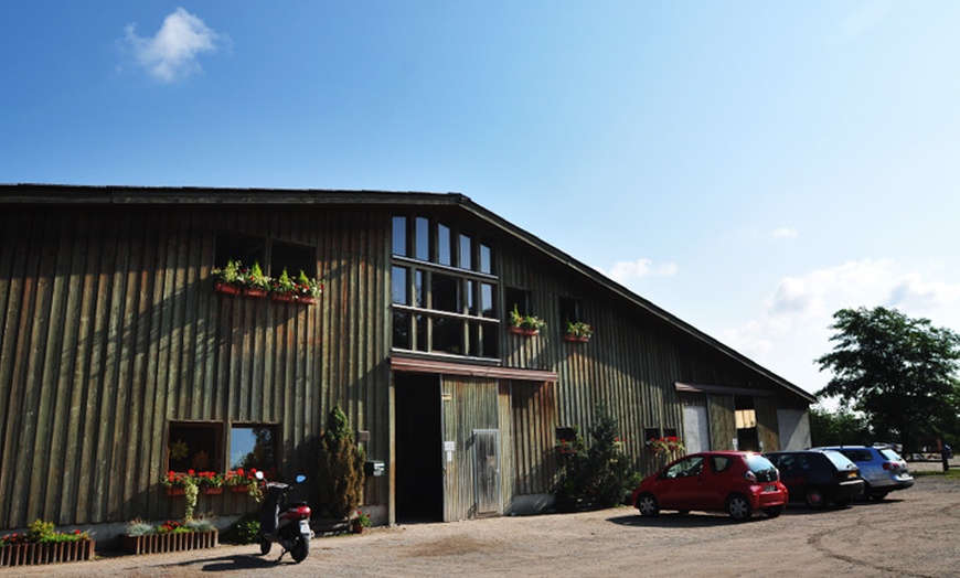Image 4: Découverte de l'équitation au Haras des Bussières 