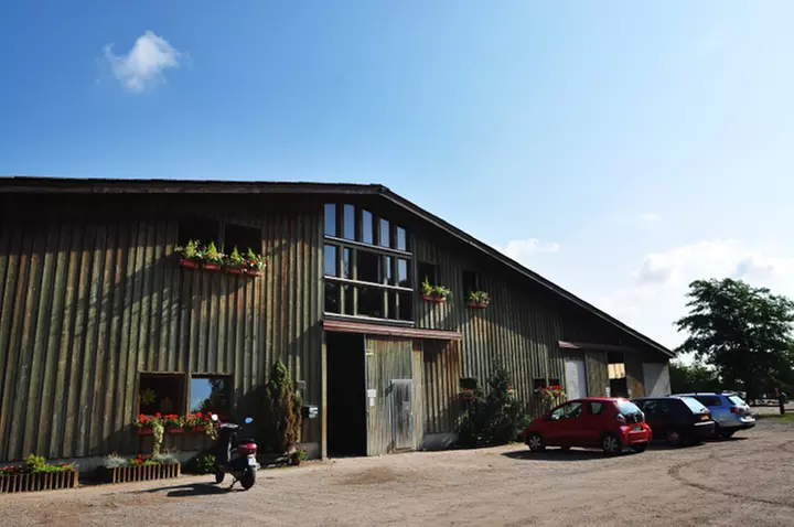 Découverte de l'équitation au Haras des Bussières