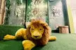 Enjoy One 60 or 120 Min Ticket- One or Two Hours Open Play for 1 Kid or First Month Membership (Up to 50%Off) - Second Medium